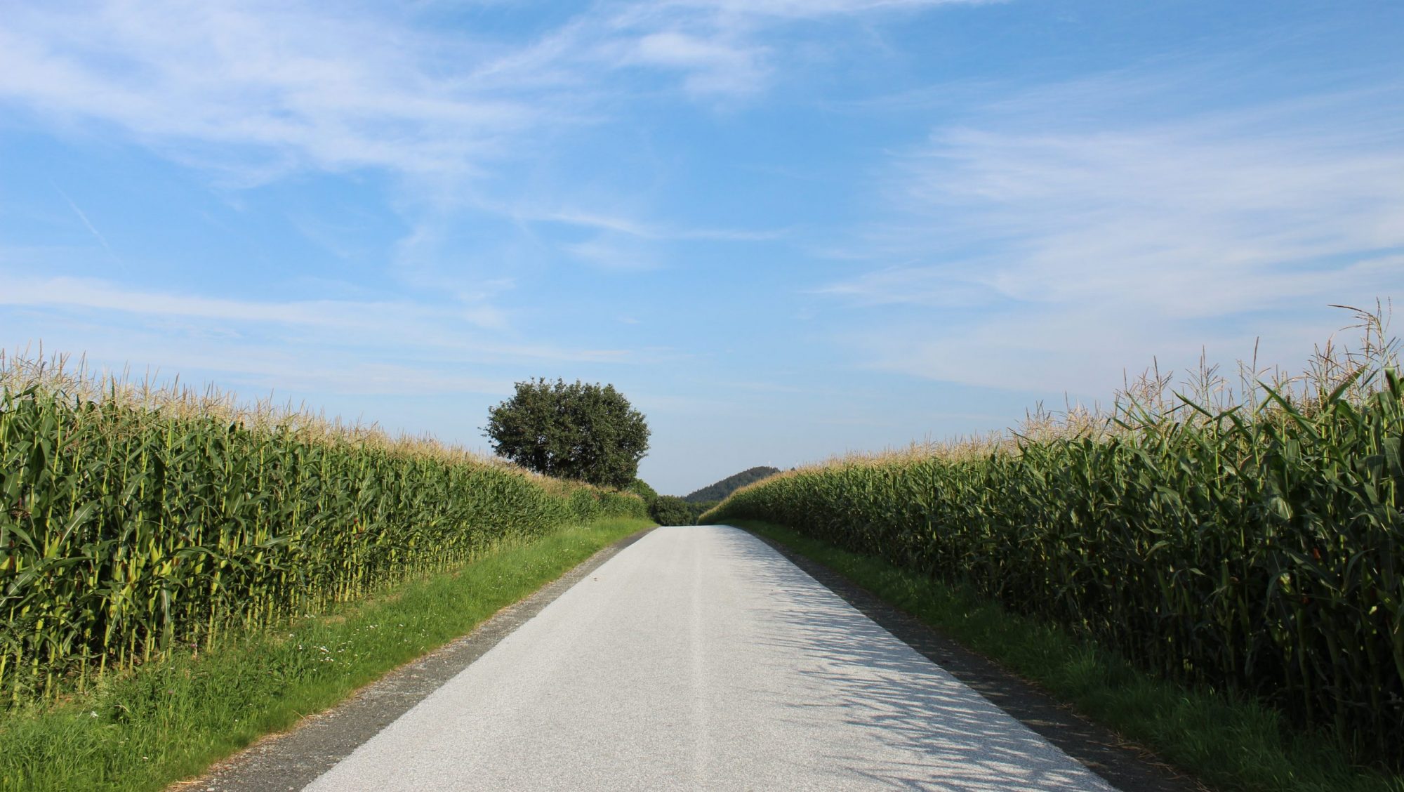 Ausbildungsblog